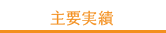 主要実績