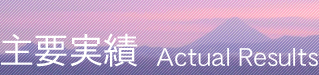 主要実績
